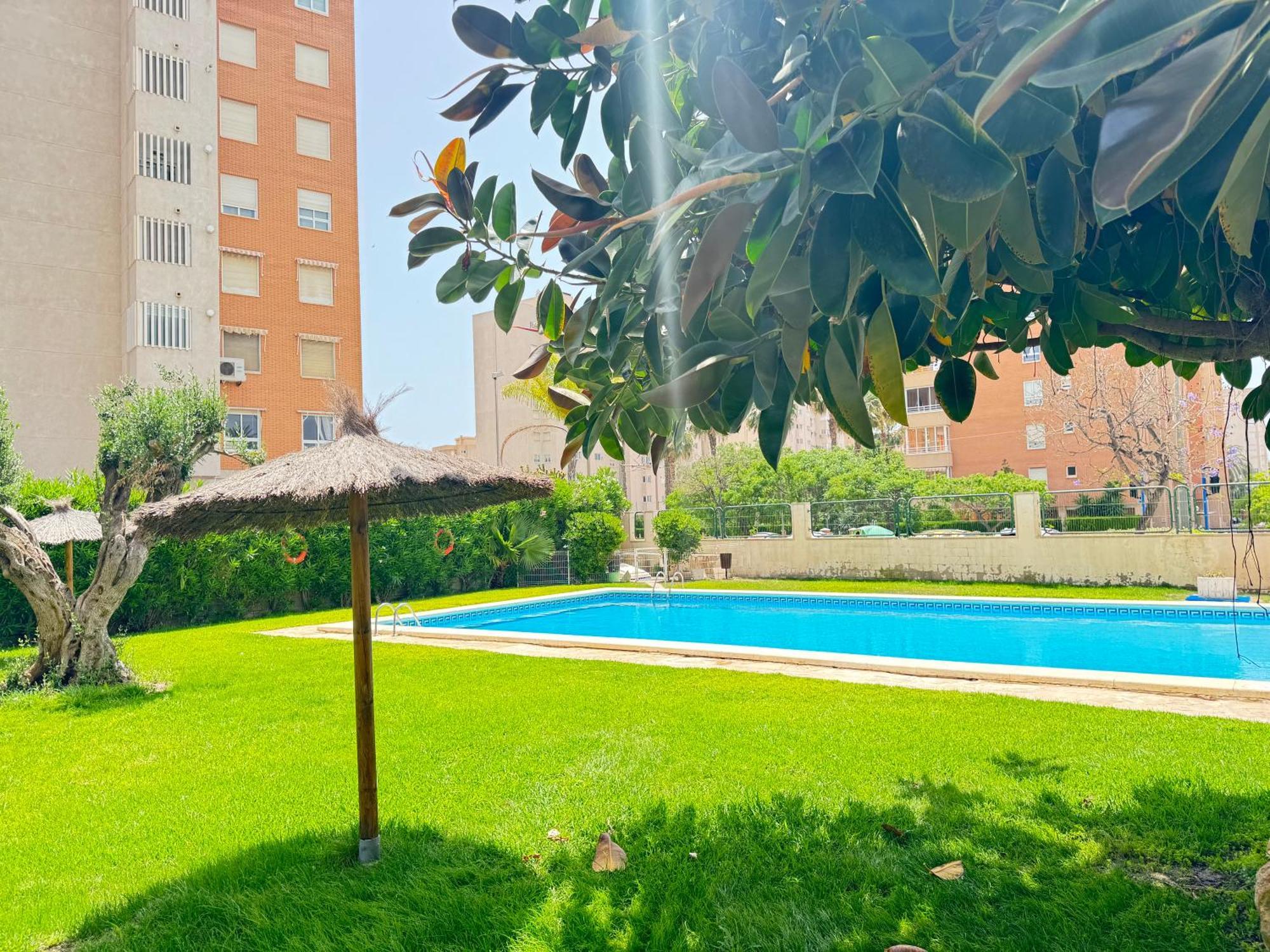 Estudio Con Piscina Alicante Exteriör bild