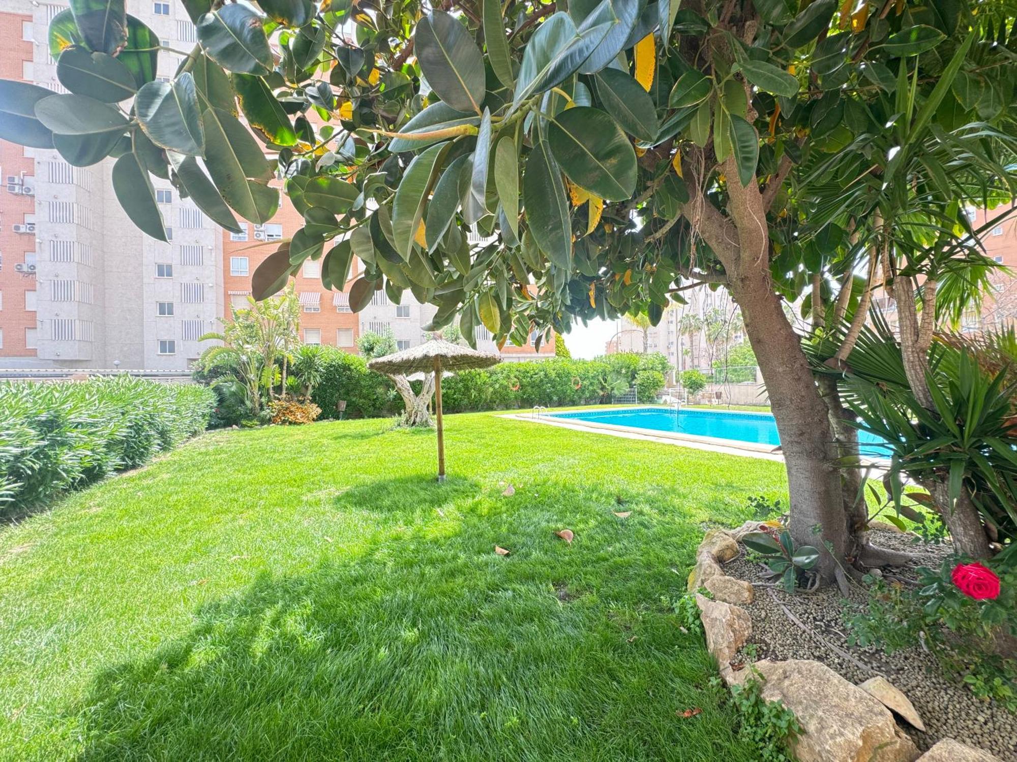 Estudio Con Piscina Alicante Exteriör bild
